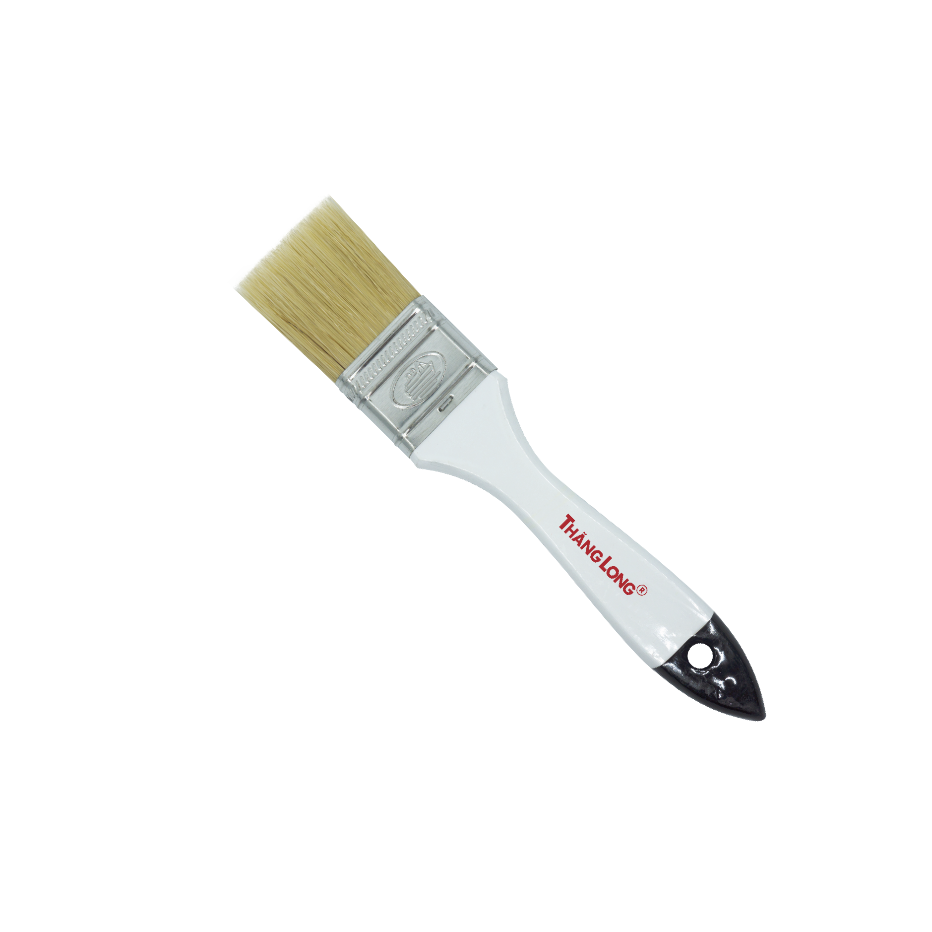 CỌ MÀU THĂNG LONG 1/2’’